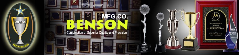 Benson Mfg Co in Delhi