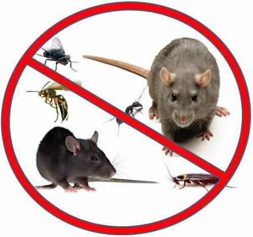 Shivam Pest Control