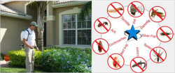 Blue Bird Pest Control Pvt Ltd in Delhi