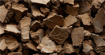 MINERAL CLAYS & CHEMICALS