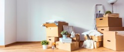 MAA AMBIKA CARGO PACKERS AND MOVERS (REGD) in Delhi